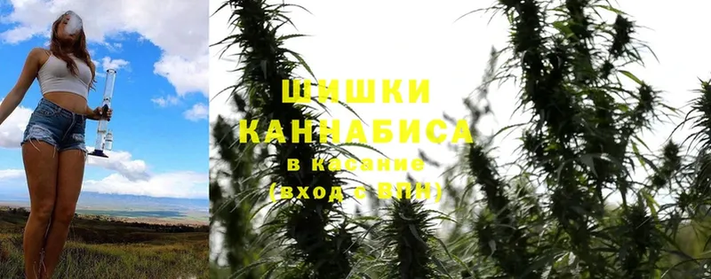 Конопля THC 21%  Яровое 